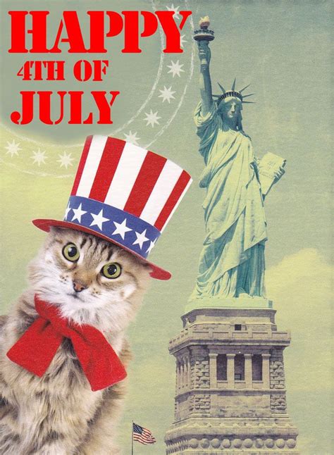 Happy Independence Day Patriotic Cat Patriotic Pictures Holiday