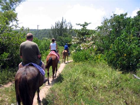 Jamaica Cruise Excursions | Montego Bay Beach Horseback Riding - $70us