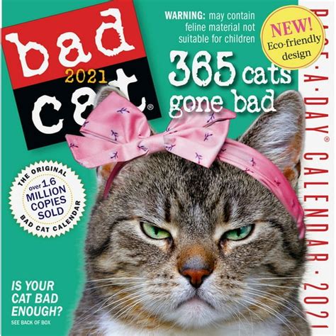 Bad Cat Calendar 2024 To 2024 Halloween 2024 Calendar