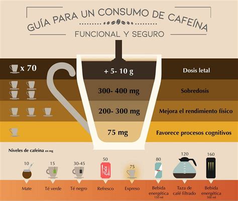 Quanto Tempo Dura O Efeito Do Caf