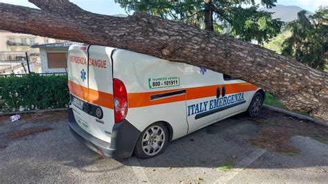 La Spezia Albero Cade Su Unautomedica Nel Parcheggio Dellospedale