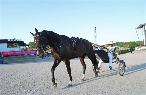 Inför V75 Önas Prince mot Elitloppet En bra spik på lördag