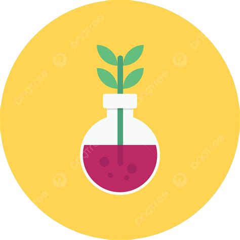 Plant Seedling Growth Illustration Vector Seedling Growth