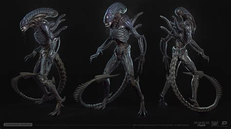 Alien Artwork Xenomorph Alien Art