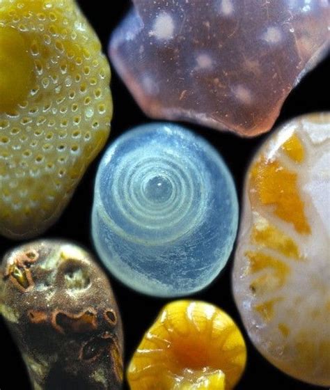 Sand Under A Microscope How Does Magnified Sand Look Pedras E