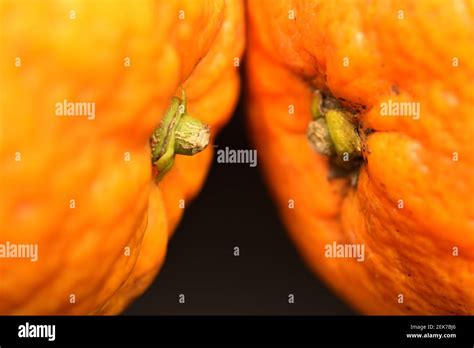 Two Parts Of Two Ripe Juicy Fresh Red Sicilian Oranges Close Up The