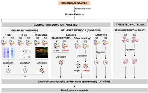 Overview Of The Most Common State Of The Art Proteomics Technologies