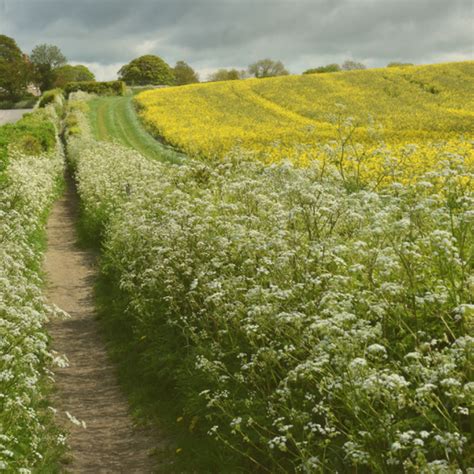 Maximising Countryside Stewardship ᐉ BN11 BN7 Grants Guide