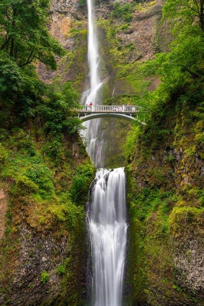 Premium Photo | Multnomah falls in the columbia river gorge