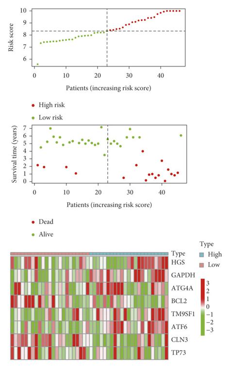 Construction And Validation Of Risk Signatures Of Eight Autophagy