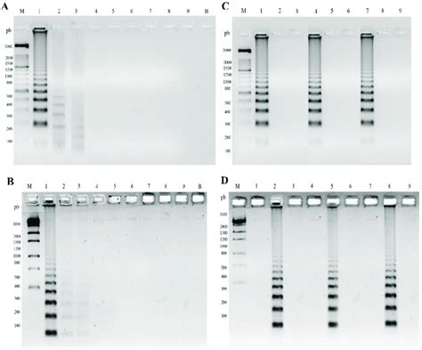 Specificity And Limit Of Detection Of Padlock Probes Fop And Fom By