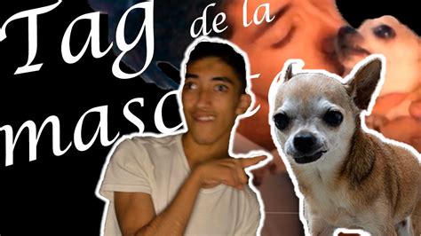 Mi Primer Tag Con Luna Tag De La Mascota YouTube