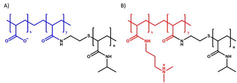 Molecular Structure Of A Paa G Pnipam And B Pdmapaa G Pnipam The