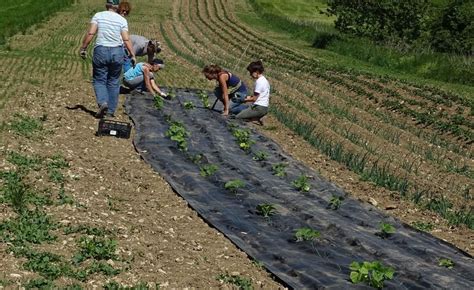 Vers Des Normes Moins Strictes Pour Le Bio Nature D Ici Et D Ailleurs