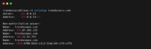 How To Install And Use Dig And Nslookup Commands In Linux TREND OCEANS