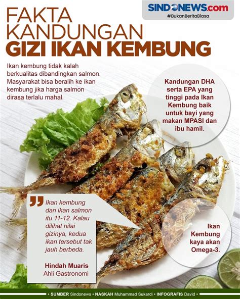 Sindografis Fakta Kandungan Gizi Ikan Kembung Sama Dengan Ikan Salmon