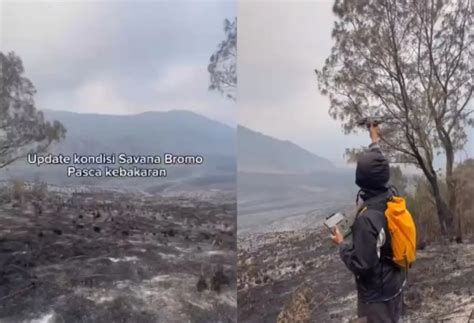 Ngenes Api Di Savana Bromo Sudah Padam Begini Kondisinya Sekarang