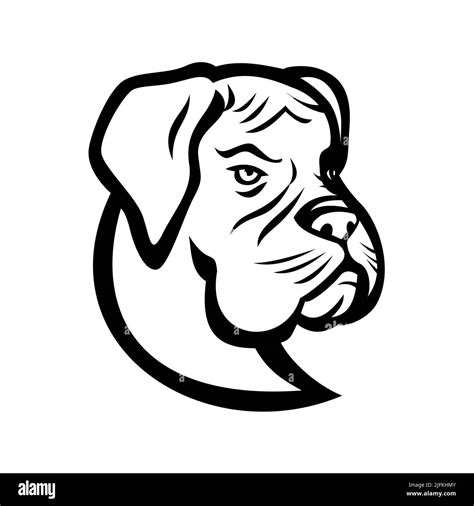 Black And White Mascot Illustration Of Head Of A Boxer Dog German