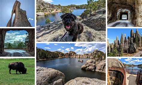 Visiting The Beautiful Custer State Park In South Dakota No Home Just