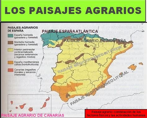 Geograf A E Historia Los Paisajes Agrarios De Espa A