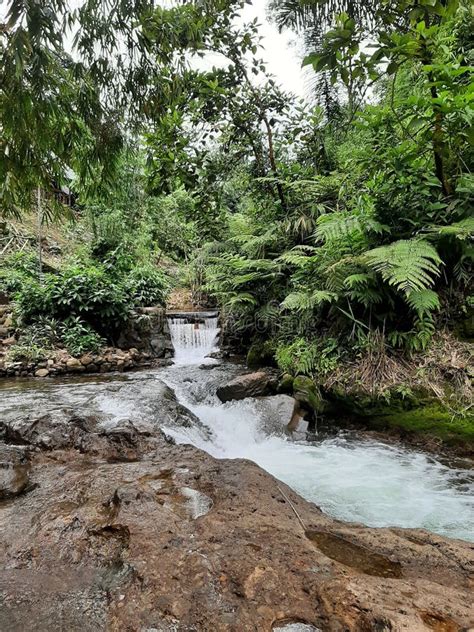 Beautiful Green Nature Spring Hot Water Stock Photo Image Of Valley Waterfall 264748104