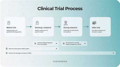 Clinical Trial Software: Roles, Challenges, Development Steps and More