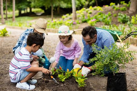 5 Incredible Health Benefits of Gardening - Finding Farina