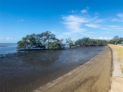 Review Nudgee Beach A Secret Swimming Spot For Kids And Dogs