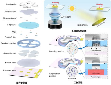 哈工大机电工程学院任玉坤教授团队研制出便携式多疾病核酸检测设备