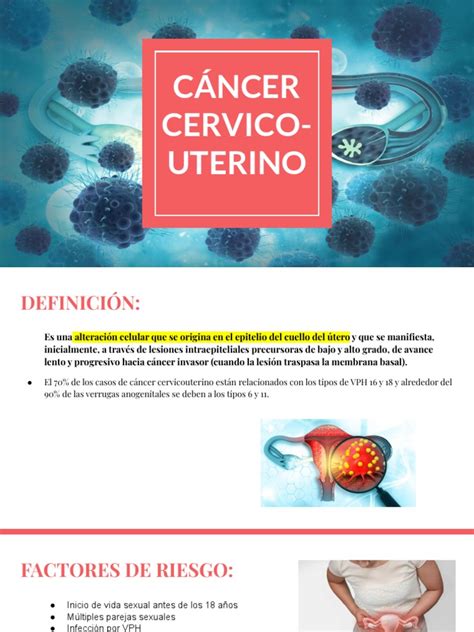 Cáncer Cervicouterino Ginecología Pdf Cáncer De Cuello Uterino Anatomia Sexual