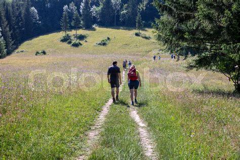 Wandern Stock Bild Colourbox