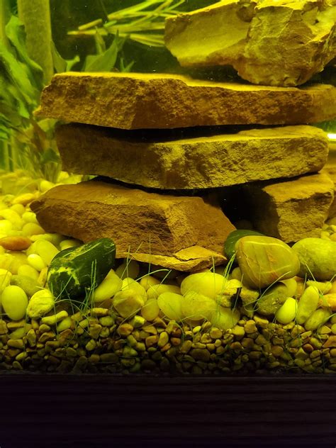 Aquarium Rocks Free Photo On Pixabay Pixabay
