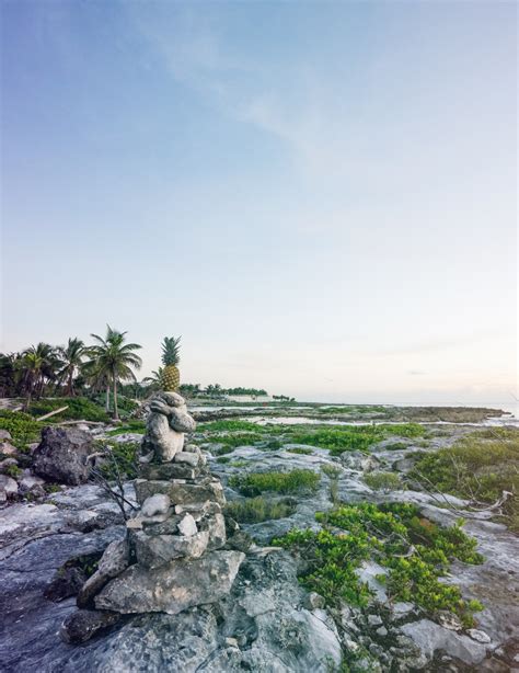 Free Images Beach Landscape Sea Coast Tree Nature Rock Ocean