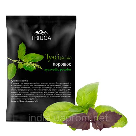 Тулсі Порошок 50 Г, Тріюга, Тулси Триюга, Аюрведа Здесь — Купить ...