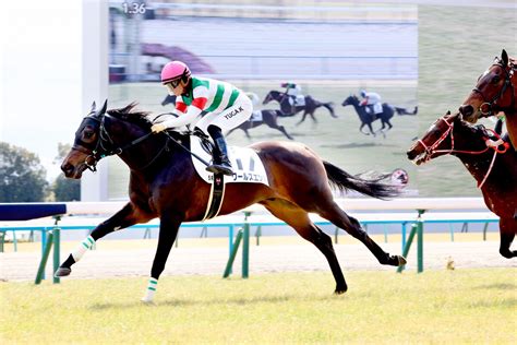 【京都5r・3歳新馬】ロードカナロア産駒が史上24頭目のjra通算1000勝 アーモンドアイなど輩出 Umatoku 馬トク