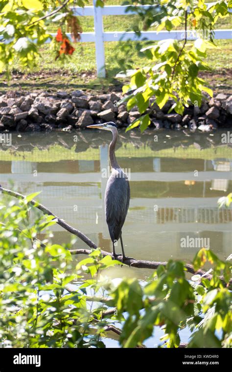 Bird's eye view Stock Photo - Alamy