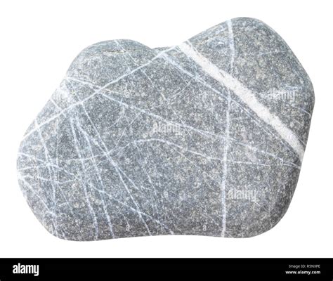 Pebble Of Graywacke Stone Isolated Stock Photo Alamy