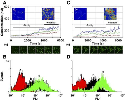 Arsenic Trioxide As 2 O 3 Triggers An Increase Of Ca 2 I In