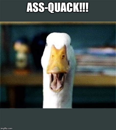 Aflac Duck Memes - Imgflip