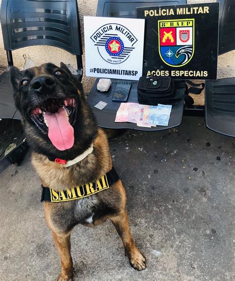 Apoio De C O De Faro Maconha E Dinheiro S O Apreendidos Pela