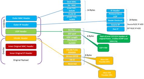 Sd Access Network Layer Overview Dclessons