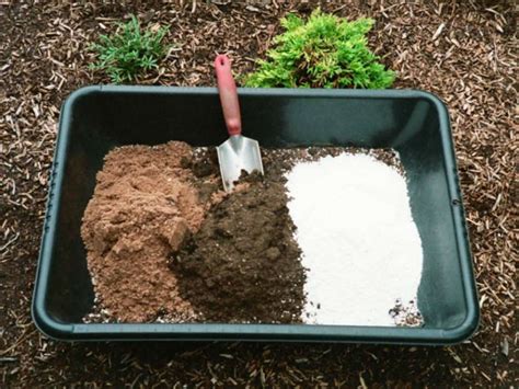 Homemade Potting Soil For Succulents