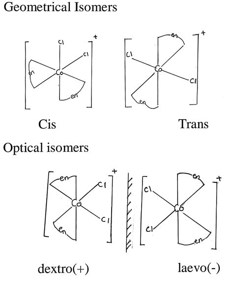 Draw All The Isomers Geometrical And Optical Of COCl2 En 2