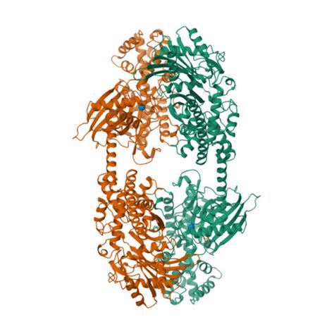 RCSB PDB 1HKC RECOMBINANT HUMAN HEXOKINASE TYPE I COMPLEXED WITH