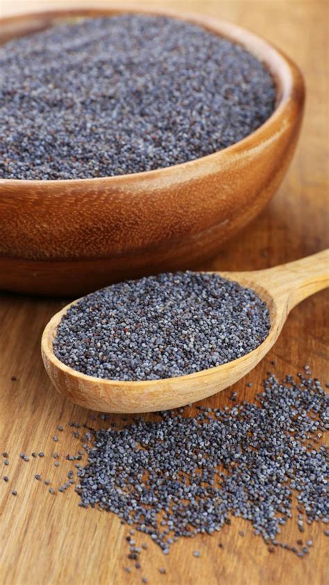 Amazing Health Benefits Of Poppy Seeds Khus Khus