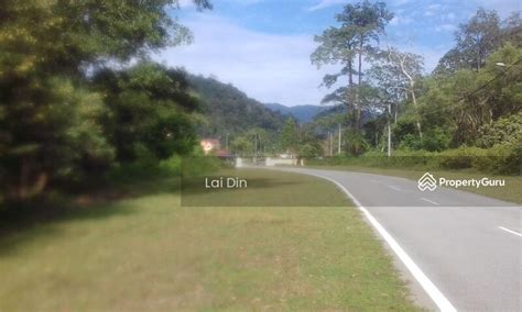 Durian Orchard At Sg Klau Raub Pahang Untuk SALE Raub District