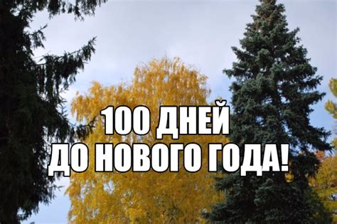 100 дней до Нового года! | На волне перемен