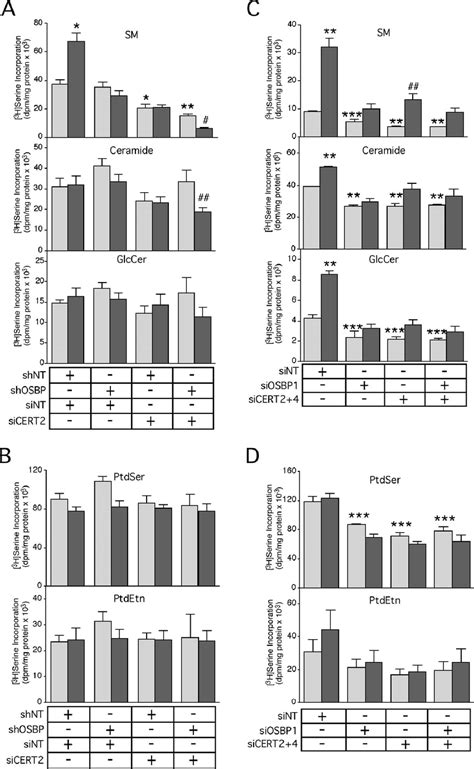 Effect Of Rnai Suppression Of Osbp And Cert On Sm Synthesis In Cho K1