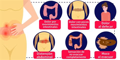 Descubrir 74 Imagen Desayunos Para Personas Con Gastritis Y Colitis