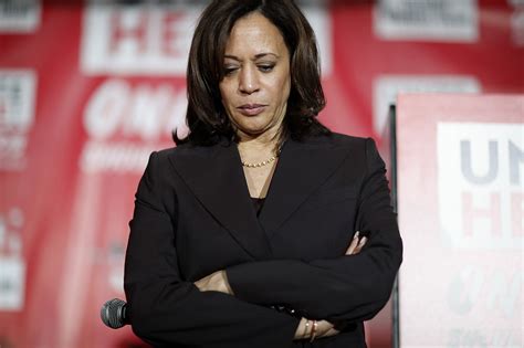 ‘No discipline. No plan. No strategy.’: Kamala Harris campaign in ...